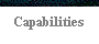  Capabilities 